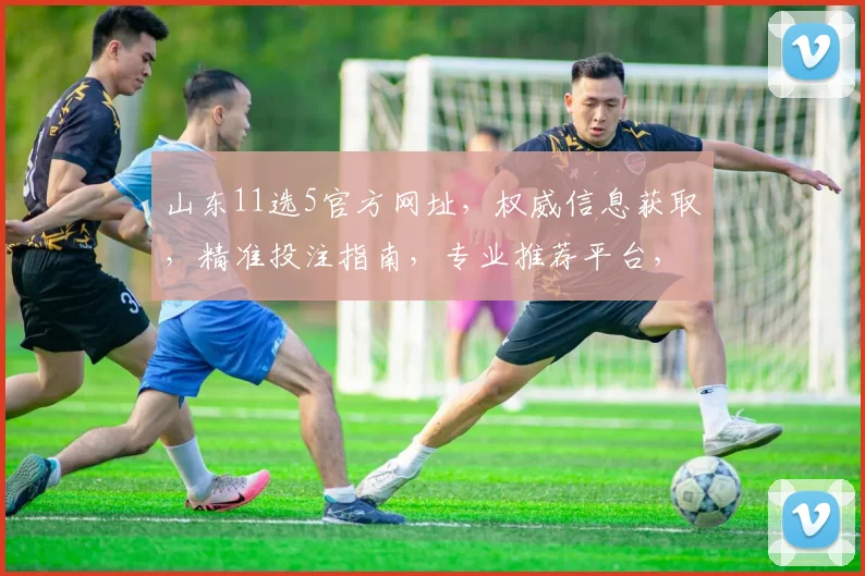 山东11选5官方网址，权威信息获取，精准投注指南，专业推荐平台，必看攻略