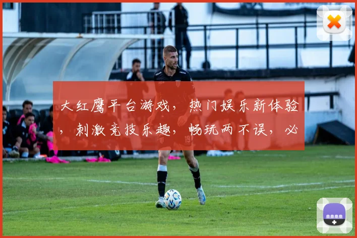 大红鹰平台游戏，热门娱乐新体验，刺激竞技乐趣，畅玩两不误，必玩之选